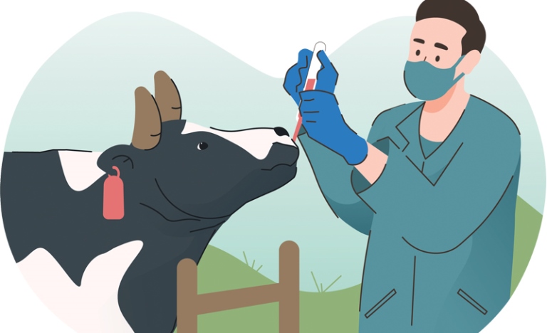 Tăng cường kiểm tra buôn bán, sử dụng thuốc, vắc xin thú y không rõ nguồn gốc, chưa được phép lưu hành tại Việt Nam